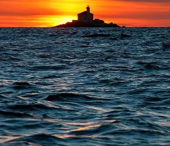 Mihoci روغوزنيكا